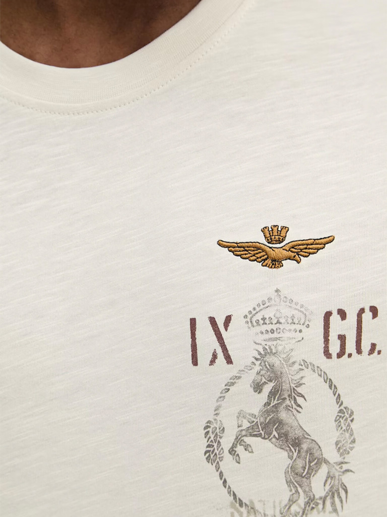 Футболка мужская AERONAUTICA MILITARE