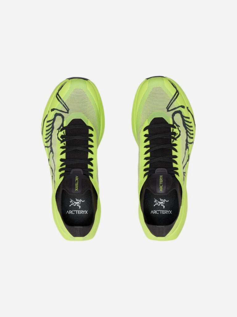 Кроссовки мужские Arc'teryx Sylan 2