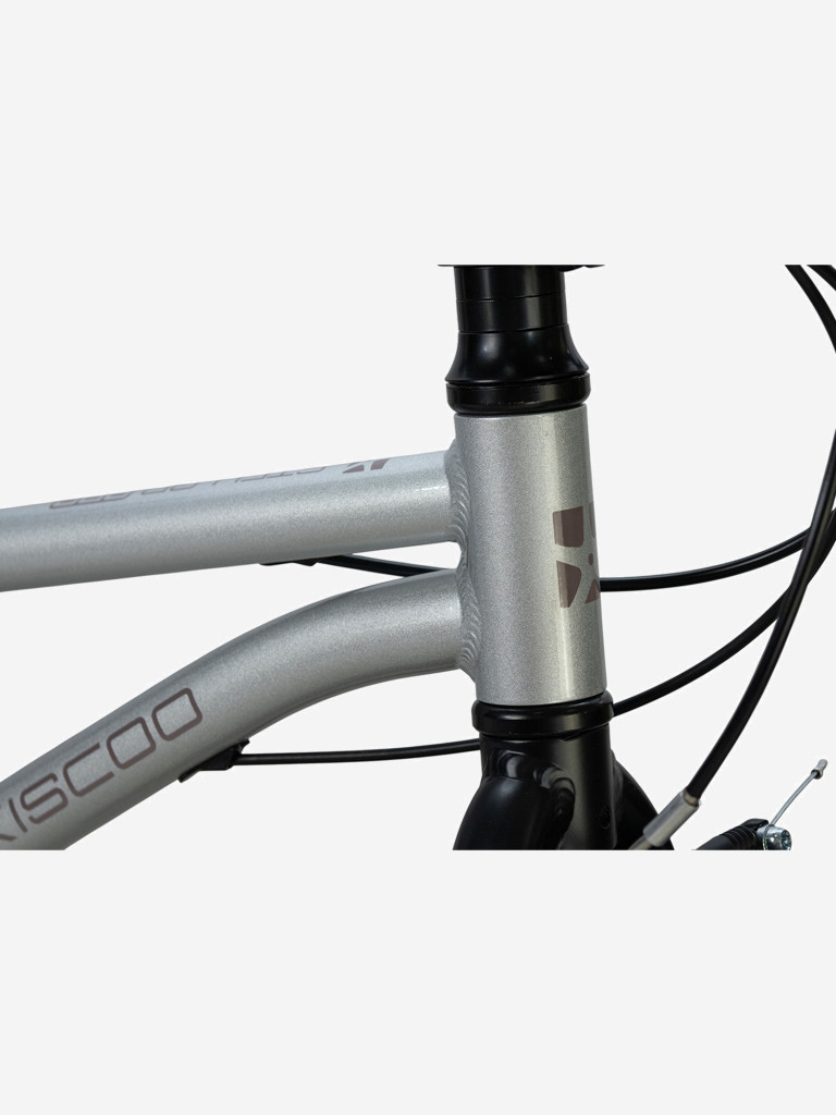 Велосипед детский Maxiscoo STELLAR PRO 20'' серебро, 2026