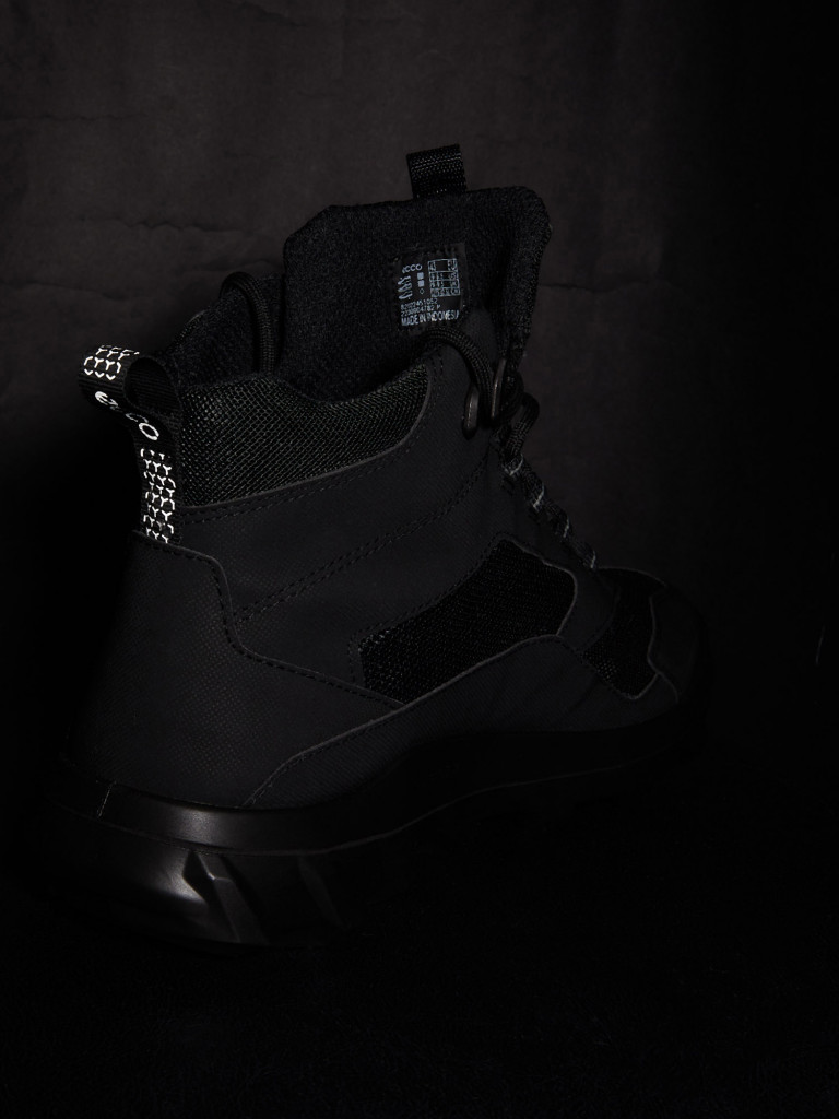 Ботинки мужские ECCO MX GTX
