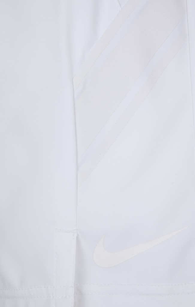 Шорты мужские Nike Dry