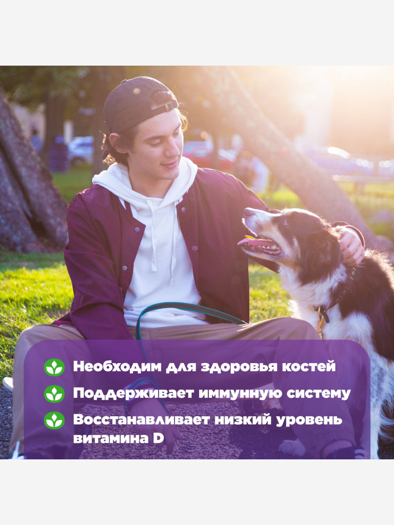 Витамин Д3 2000 Natrol, натрол Vitamin D3 2000 ME для иммунитета, метаболизма, иммуномодулятор 90 таб