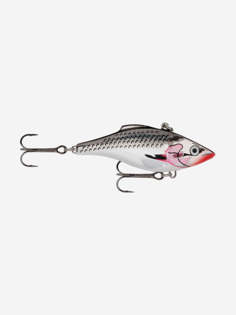 Hard To Find Rapala Rattlin Fat Rap RFR-5 SB Silver Blue (Scaled) Ireland Made - Foto 10