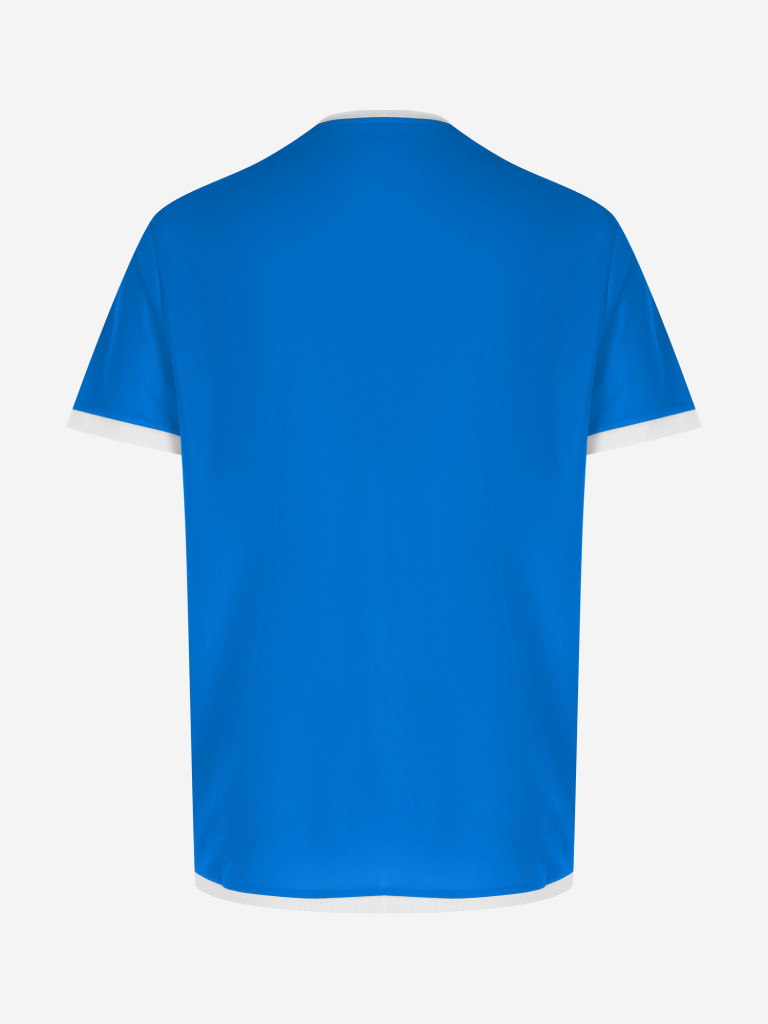 Футболка мужская PUMA Team Liga