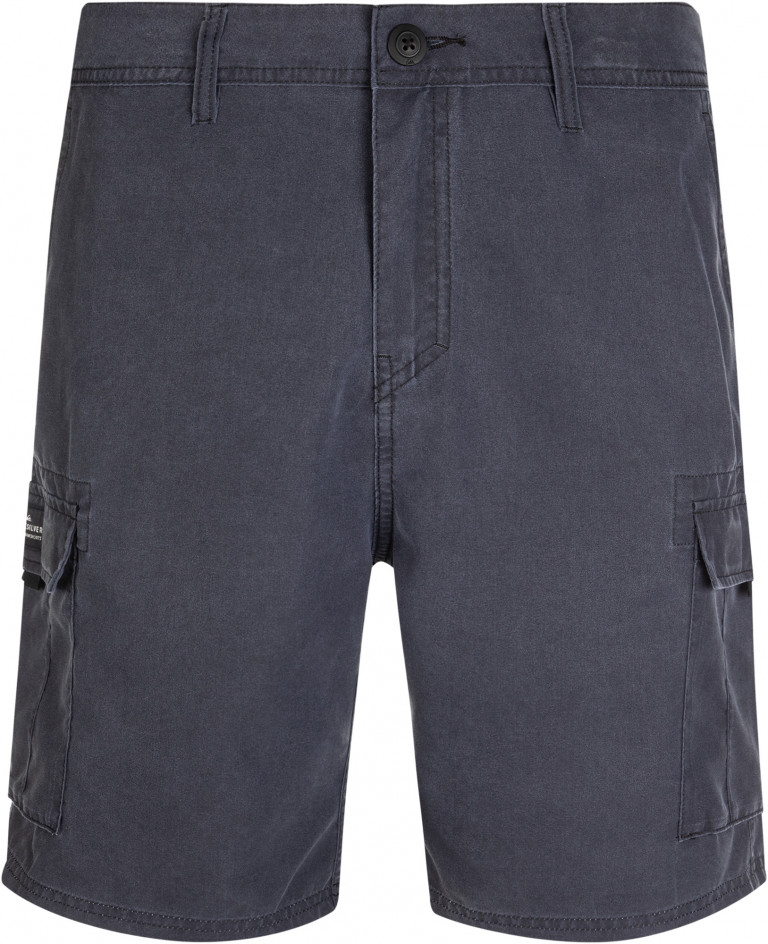 Шорты мужские Quiksilver Rogue Surfwash Amphibian 20