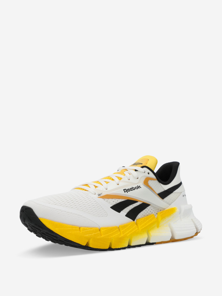 Кроссовки мужские Reebok Floatzig 1