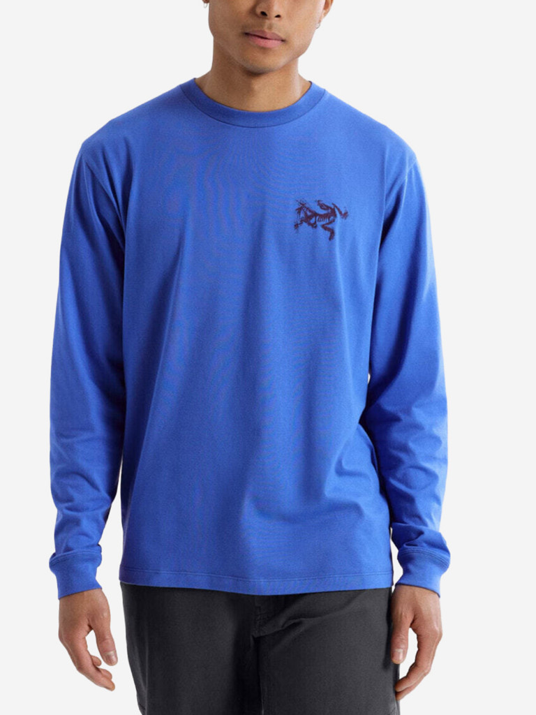 Лонгслив Arcteryx Kragg SL Cotton Bird Tile