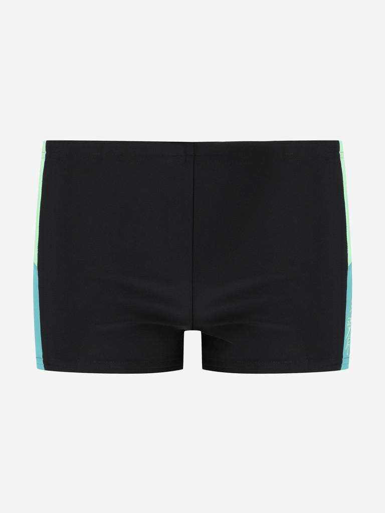 Плавки-шорты для мальчиков Speedo Dive