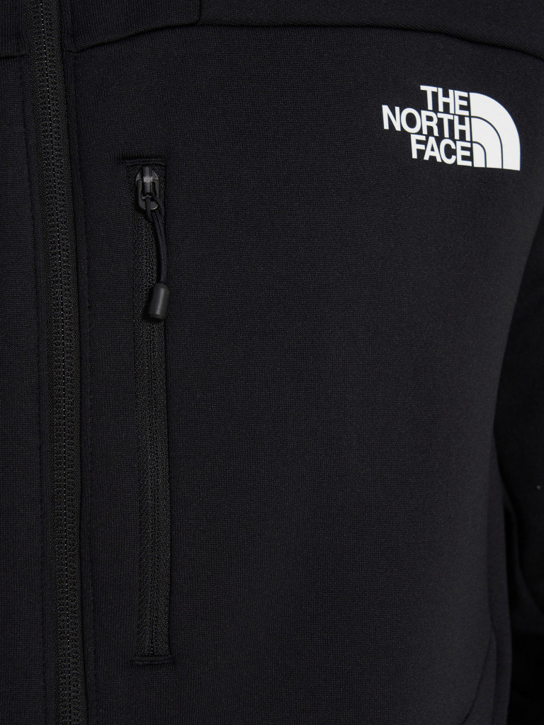 Толстовка мужская The North Face Meteora