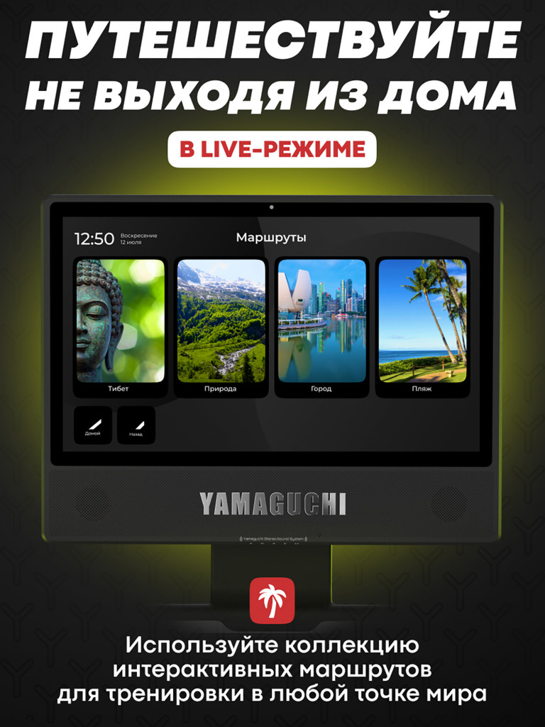 Беговая дорожка Yamaguchi MAX PRO