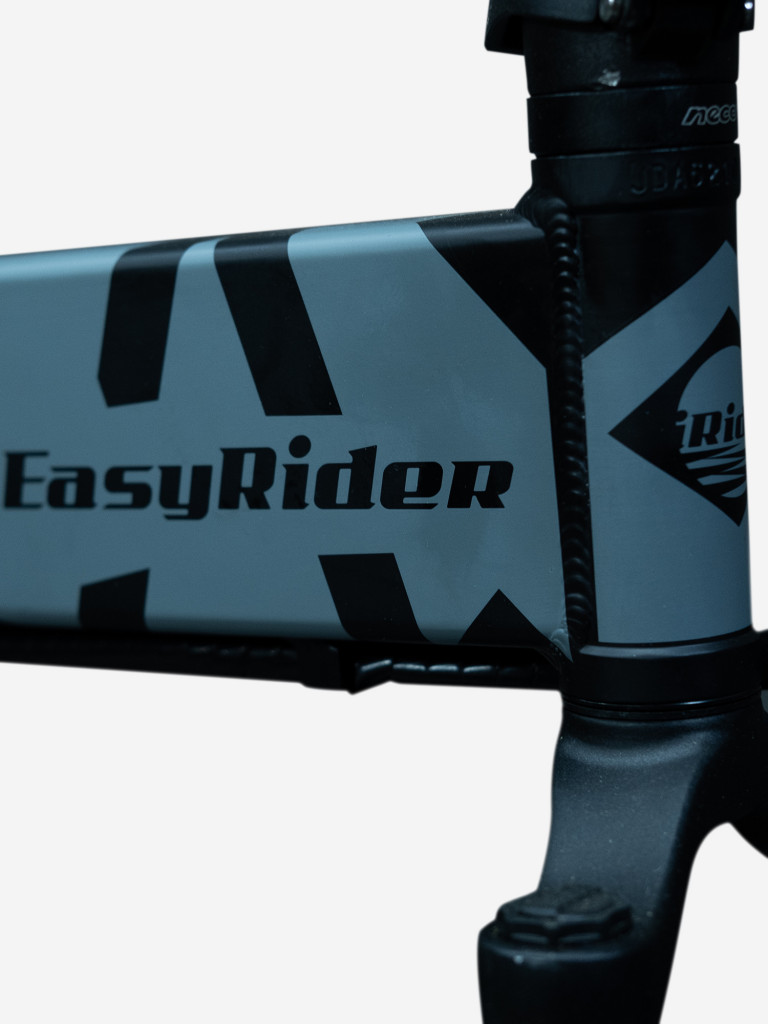 Электровелосипед EasyRider A-Type
