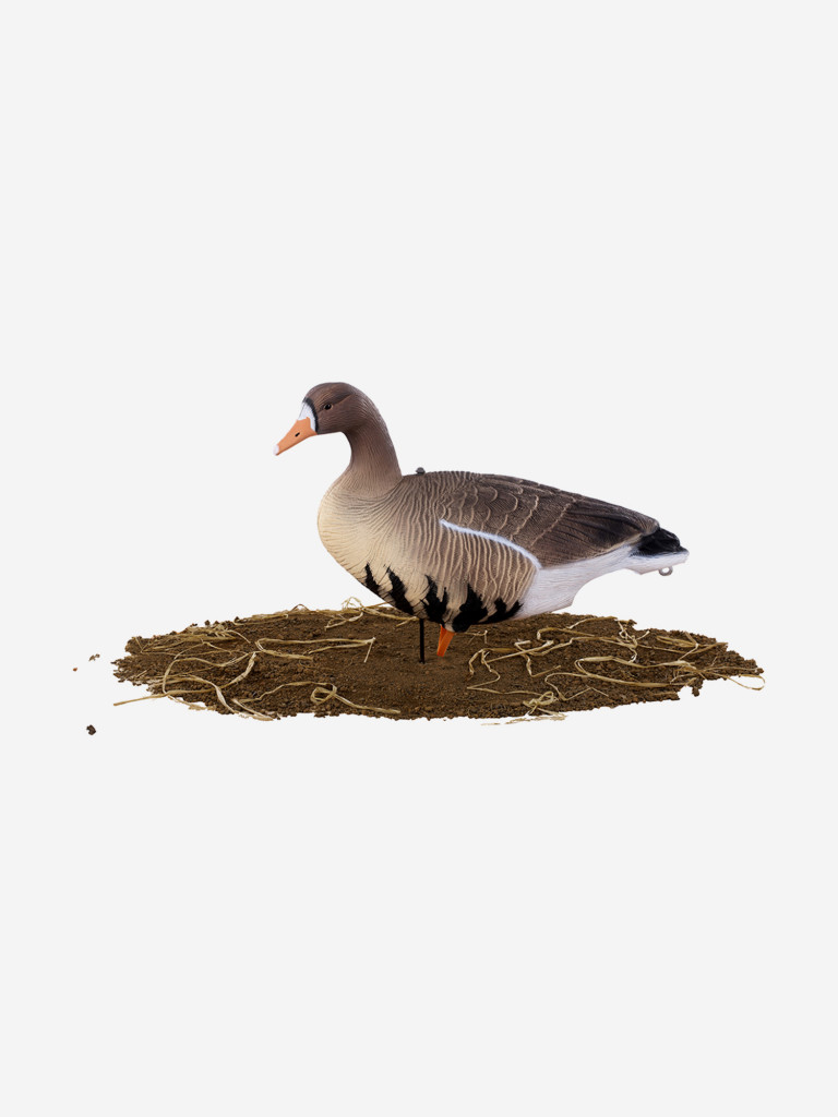 Чучела полевые гусей Softplast, белолобый гусь 10 шт.