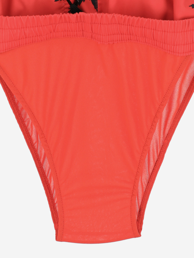 Шорты для мальчиков Quiksilver Paradise