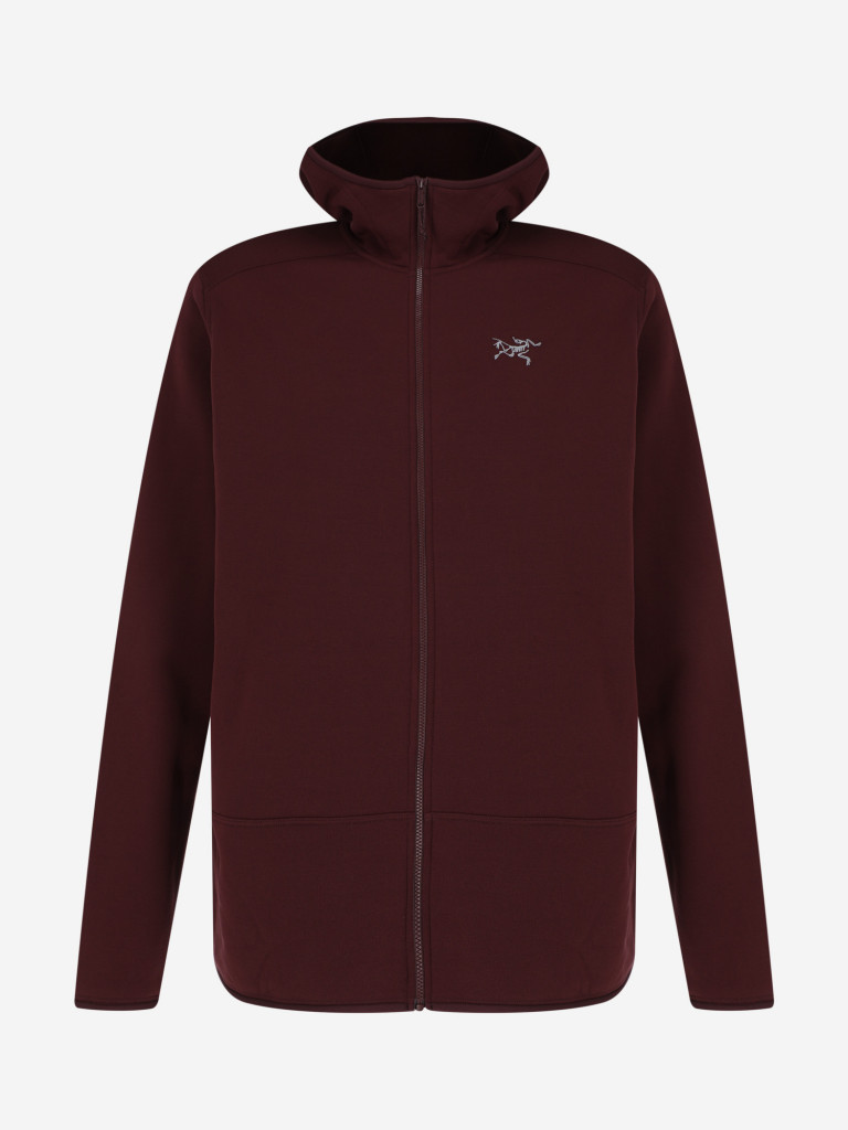 Толстовка мужская Arc'teryx Kyanite