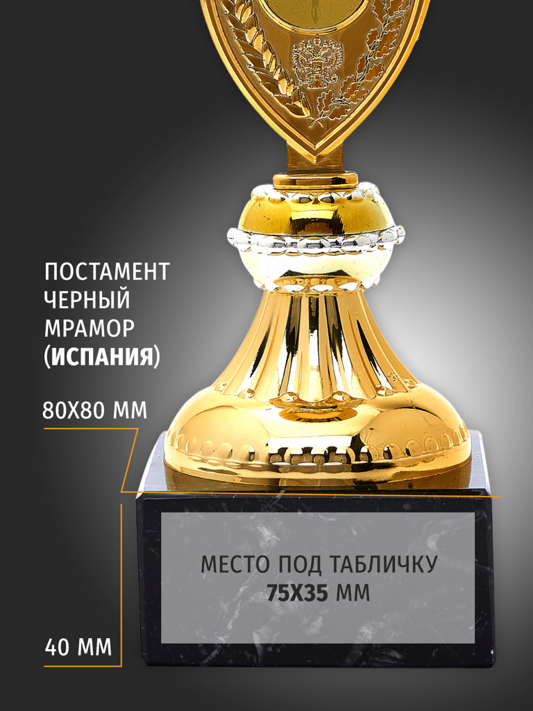 Кубок спортивный для награждения победителей 24.5 см