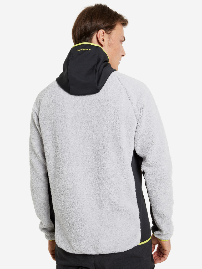 Толстовка мужская IcePeak Danby