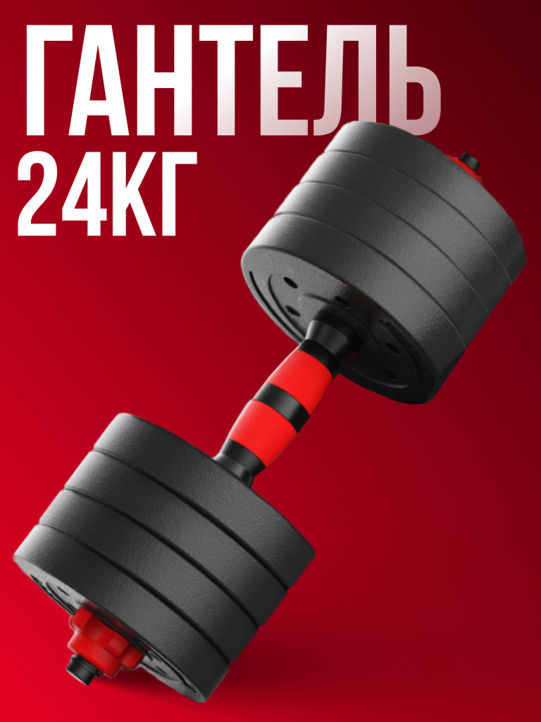 Гантель разборная 24 кг 1шт Гантели-в-ДелеБЛИН-да-ГРИФ