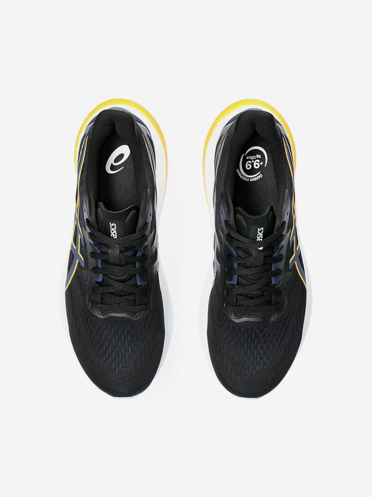 Кроссовки мужские ASICS GT-2000 12