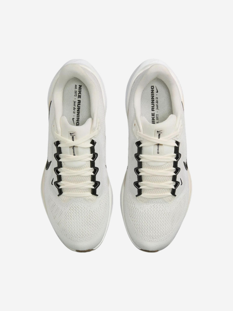 Кроссовки Nike Air Zoom Pegasus 41