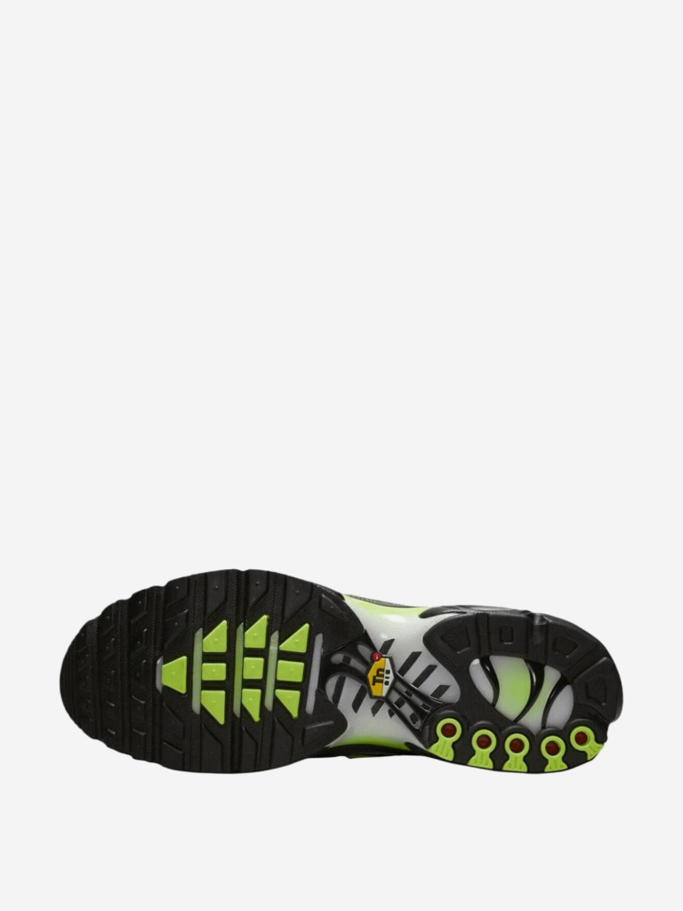 Кроссовки мужские Nike Air Max Plus