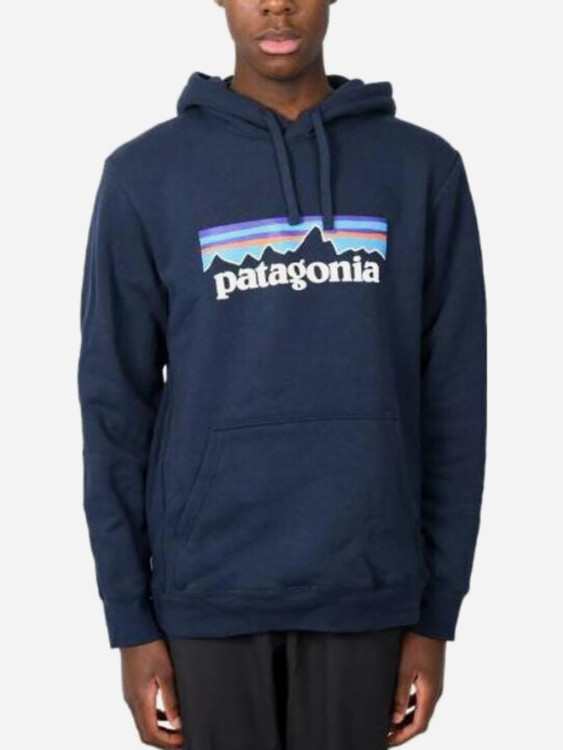 Толстовка повседневная Patagonia