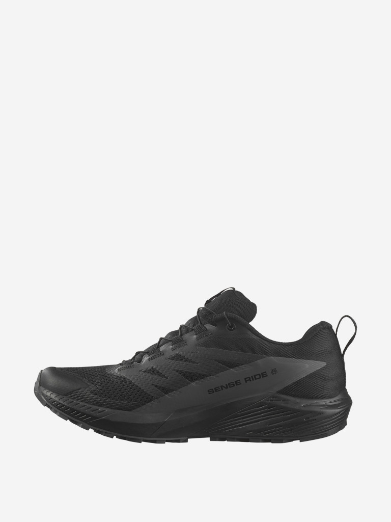 Кроссовки мужские Salomon Sense Ride 5 GTX