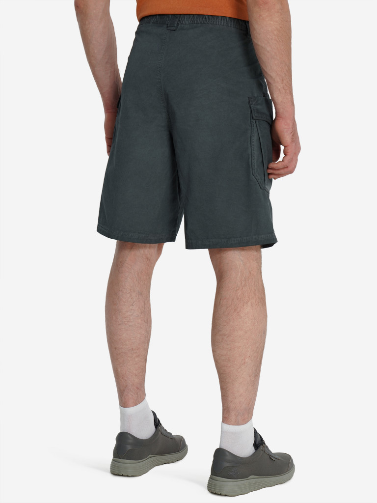 Шорты мужские Northland