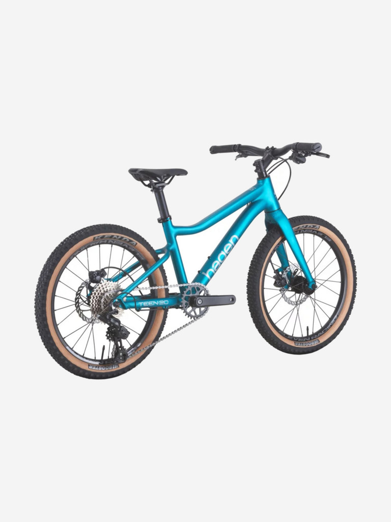 Велосипед Hagen Teen 20 R