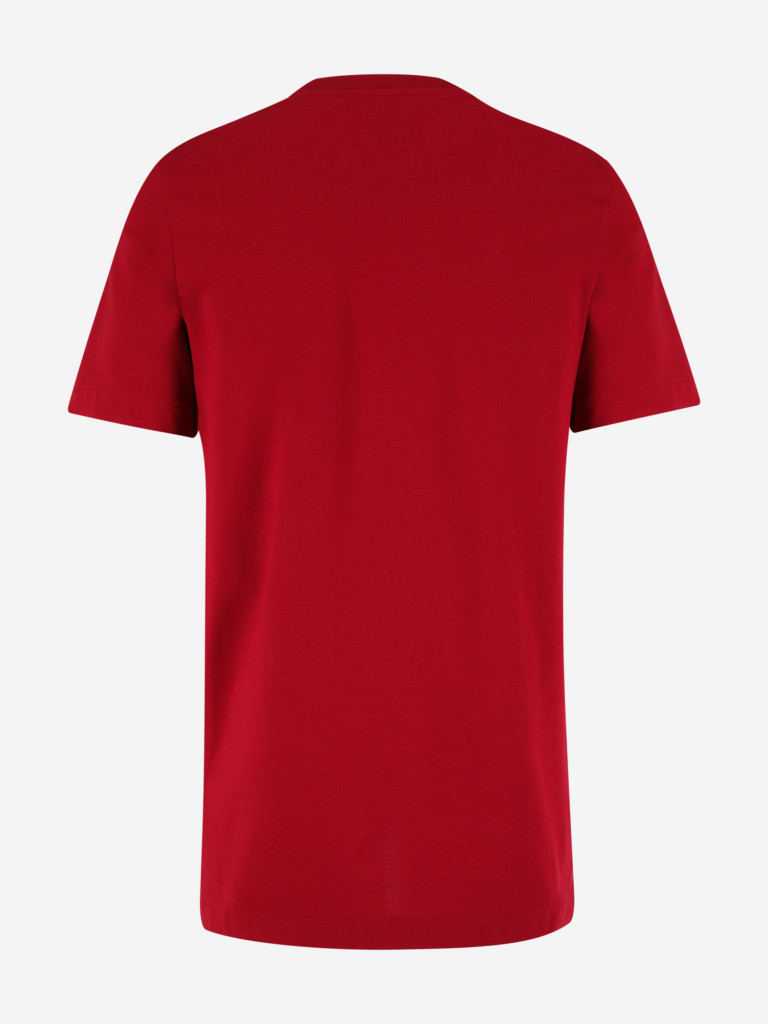 Поло мужское Nike Spartak Moscow