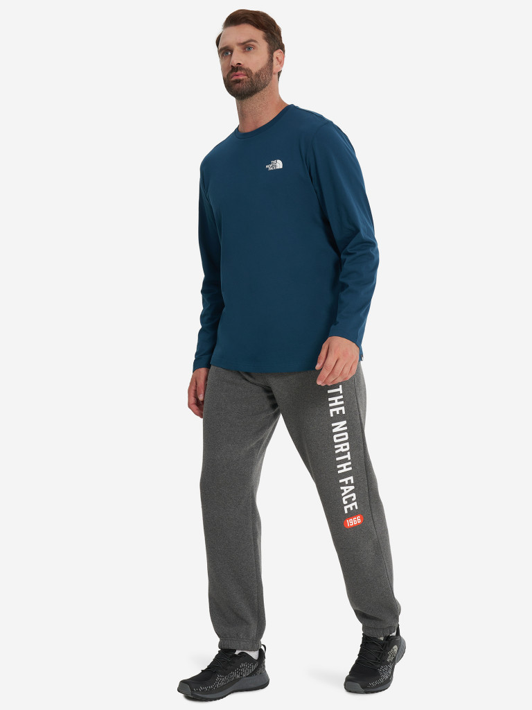 Брюки мужские The North Face Varsity Graphic