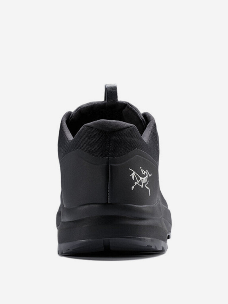 Кроссовки мужские Arc'teryx Aerios FL 2 GTX
