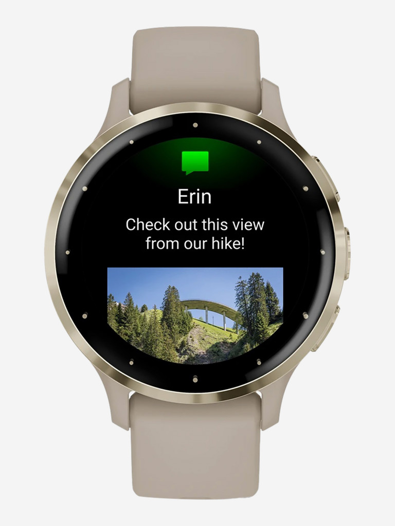 Спортивные часы Garmin Venu 3S French Gray Soft Gold