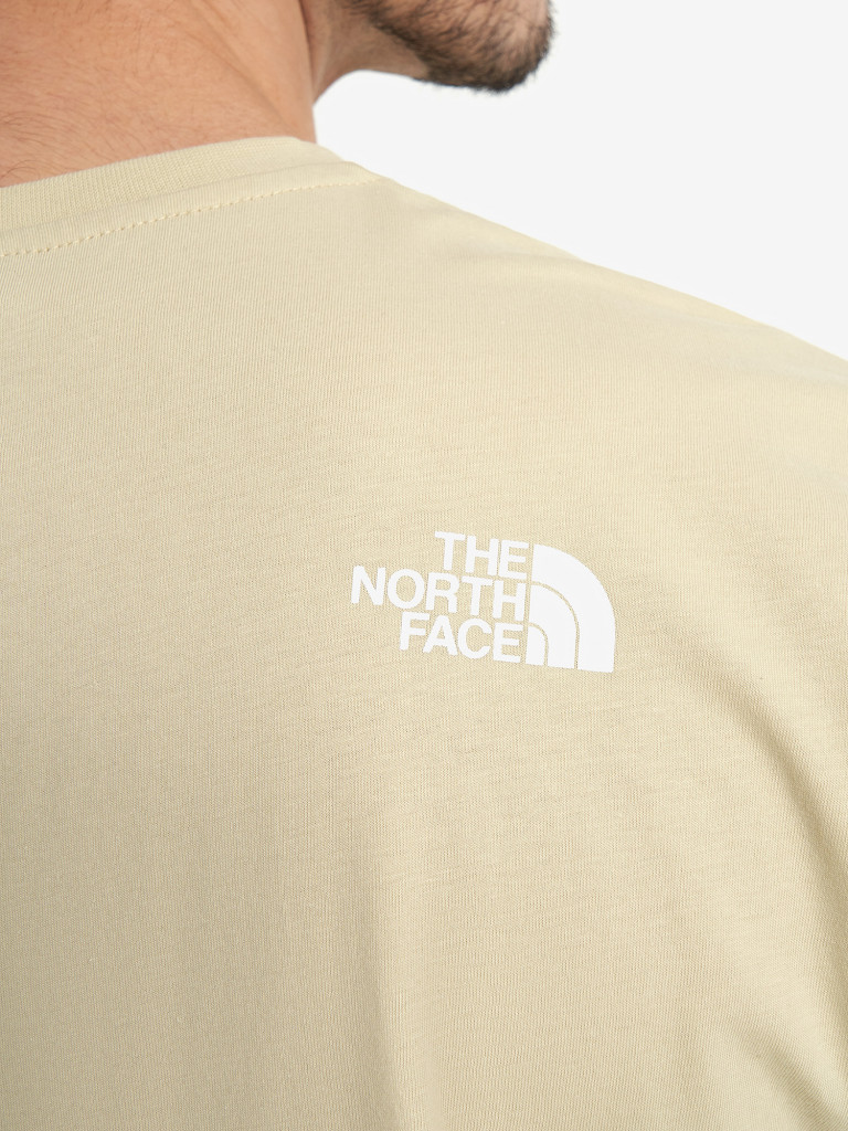 Футболка мужская The North Face Mountain Line
