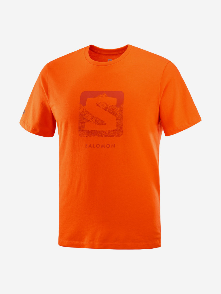 Футболка мужская Salomon Outlife Logo