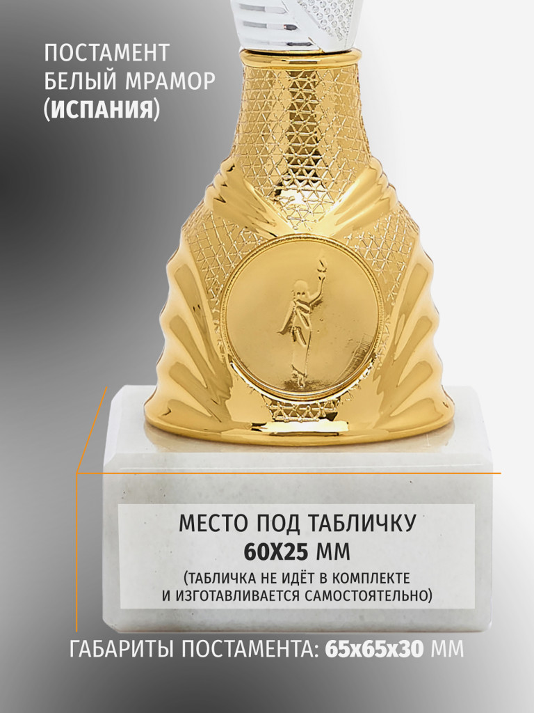 Кубок спортивный для награждения победителей 28 см серебряный
