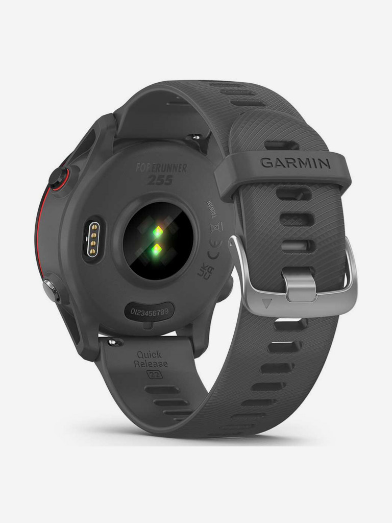 Спортивные часы Garmin Forerunner 255 с серым ремешком