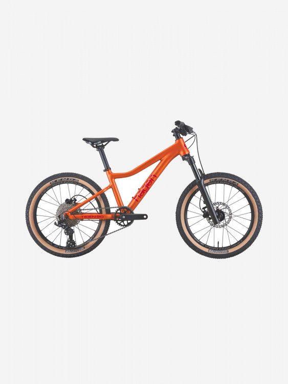 Велосипед Hagen Teen 20