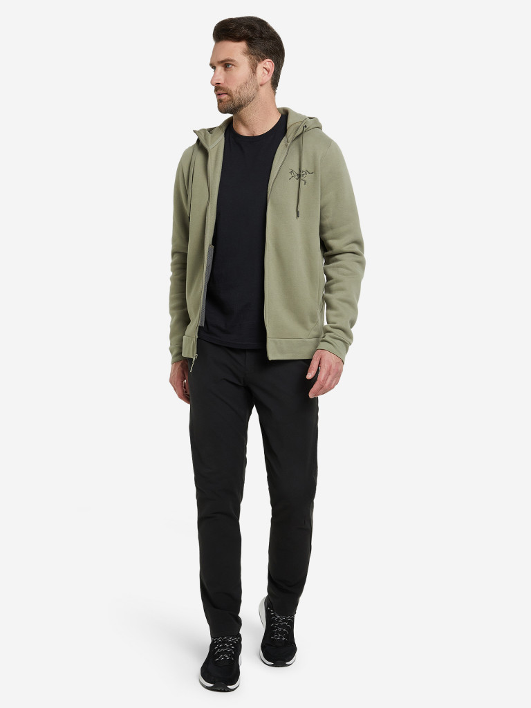 Толстовка мужская Arc'teryx Bird Emblem