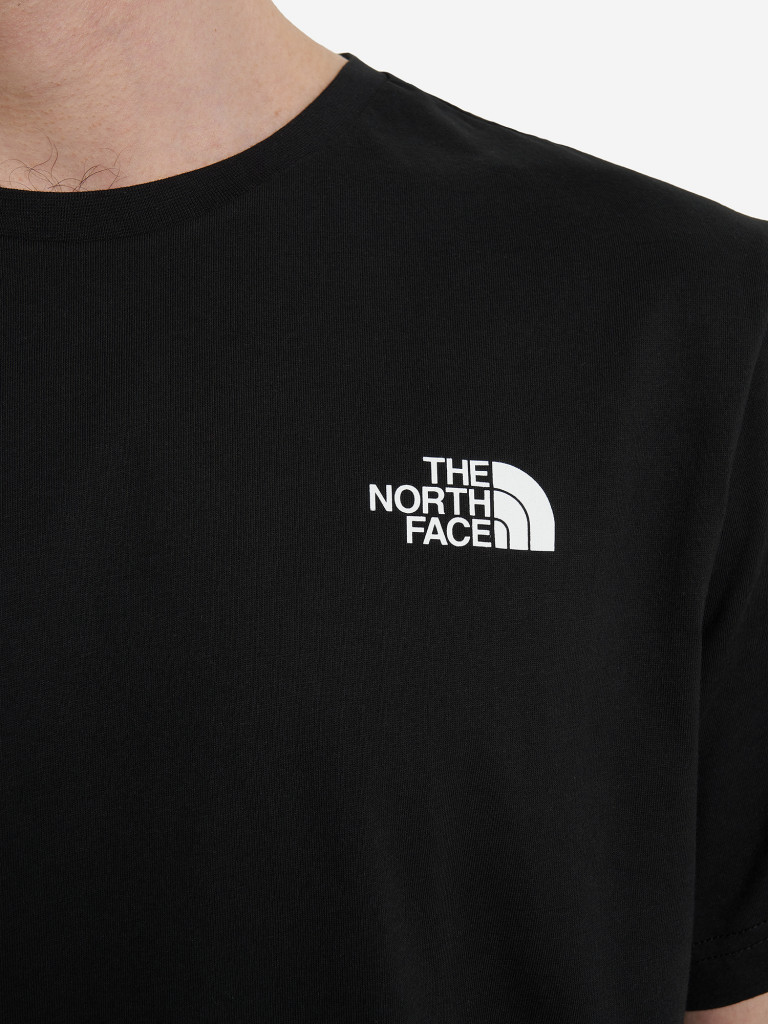Футболка мужская The North Face Box Nse