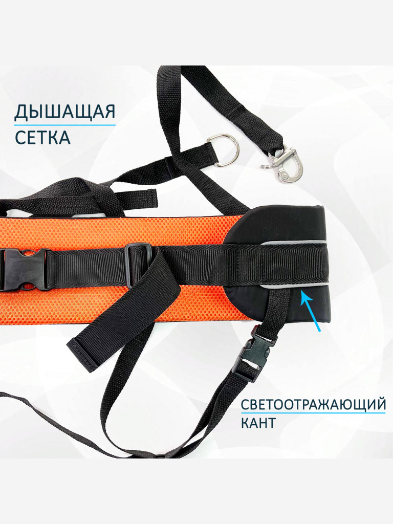 Пояс totemica детский для каникросса (бег с собакой) и скиджоринга (езда на лыжах за собакой)