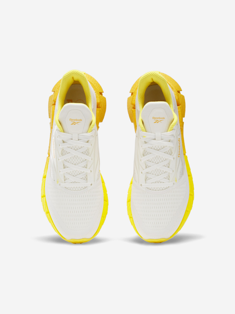 Кроссовки мужские Reebok Floatzig 1