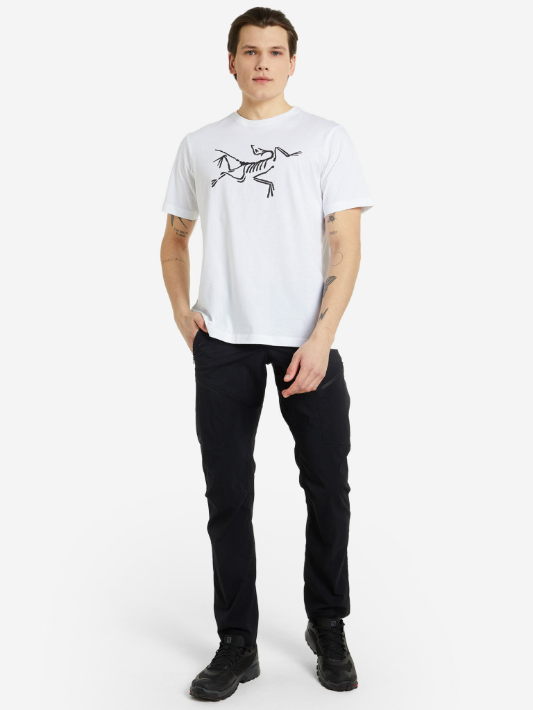 Футболка мужская Arc'teryx Archaeopteryx