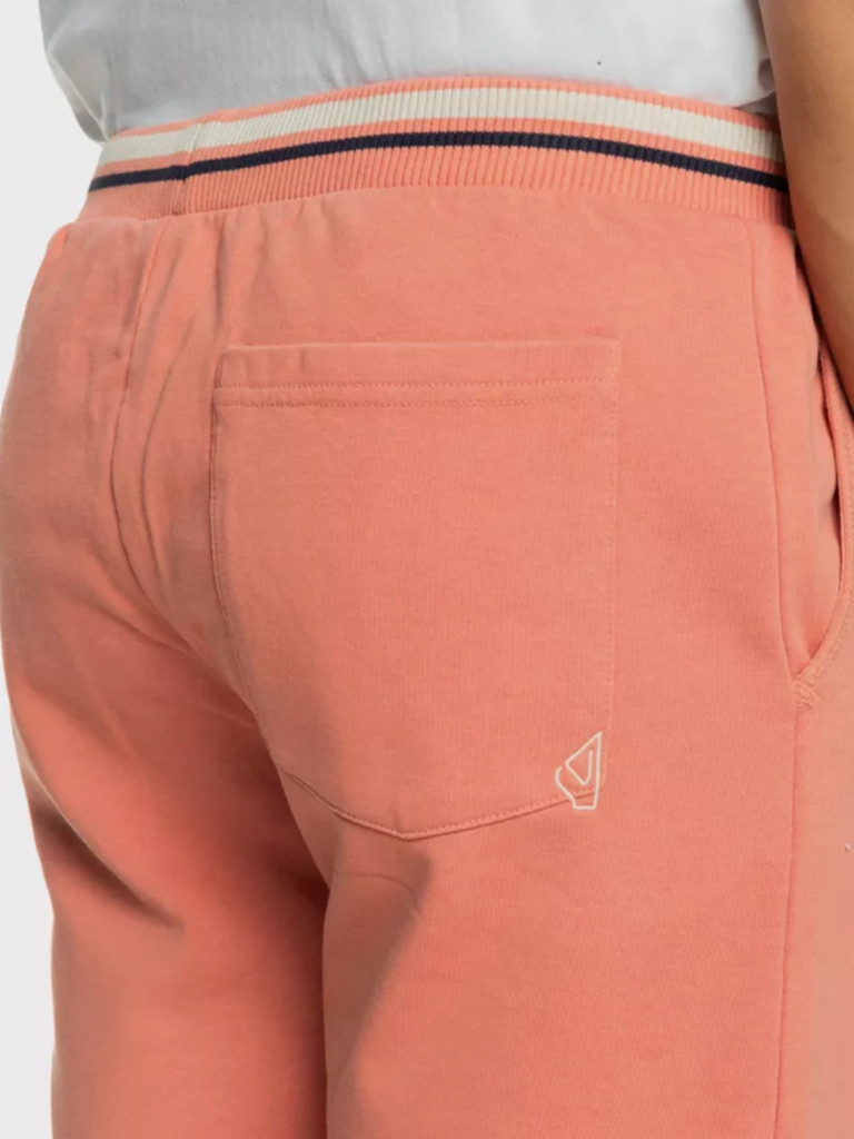 Шорты мужские QUIKSILVER Solid Volley