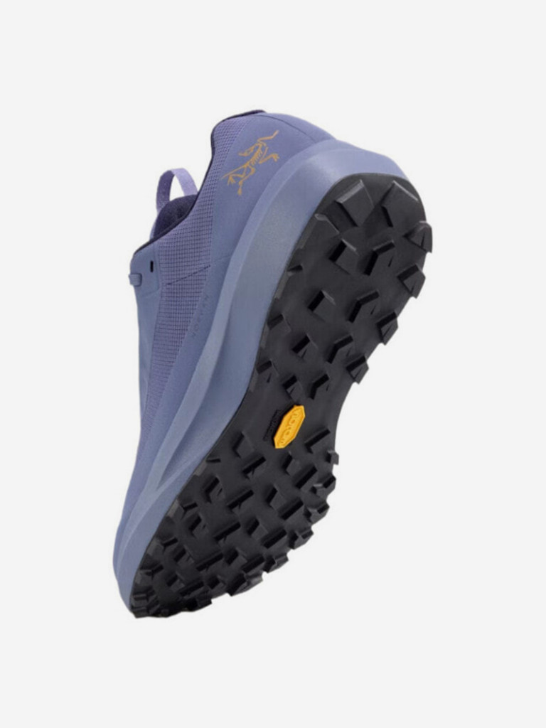 Кроссовки мужские Arc'teryx Norvan LD 4
