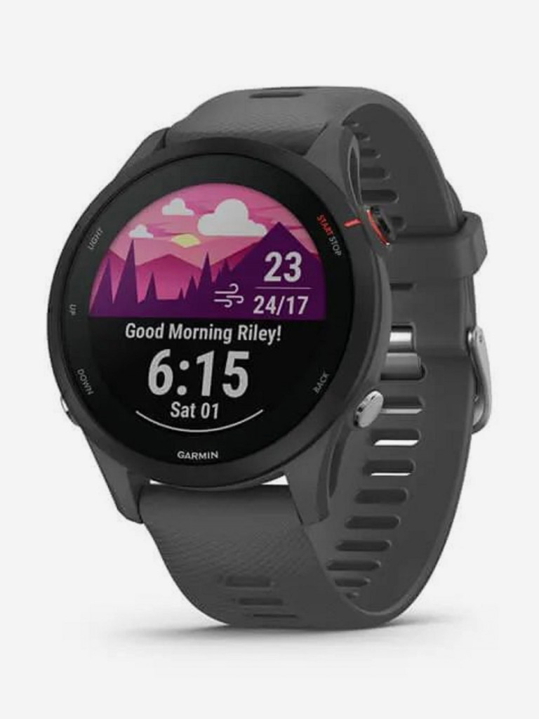 Часы Garmin Forerunner 255 с темно-серым ремешком Slate Grey 010-02641-10