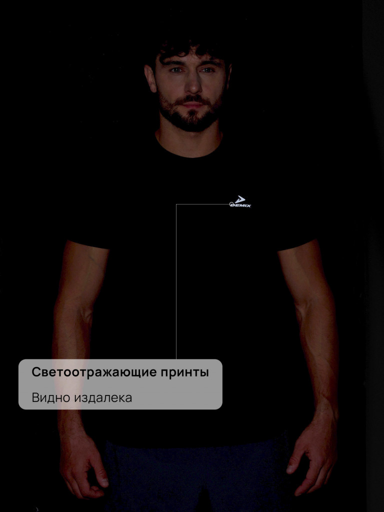 Футболка мужская Demix