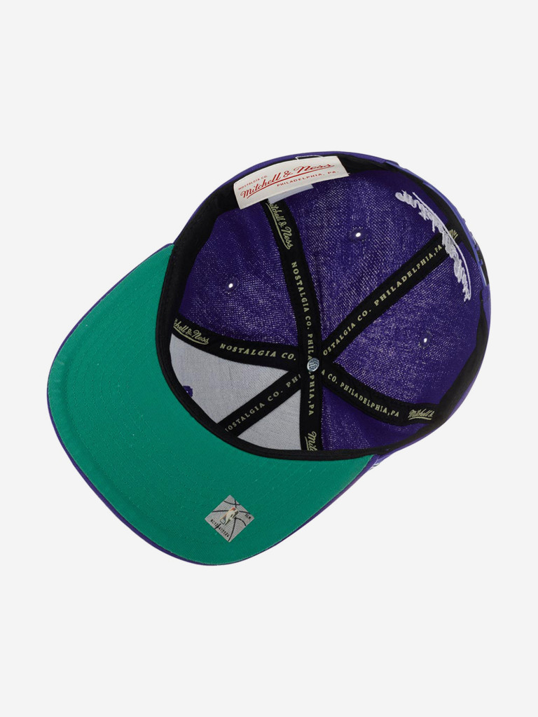 Бейсболка с прямым козырьком MITCHELL NESS HHSS5133-TRAYYPPPPURP Toronto Raptors NBA (фиолетовый)