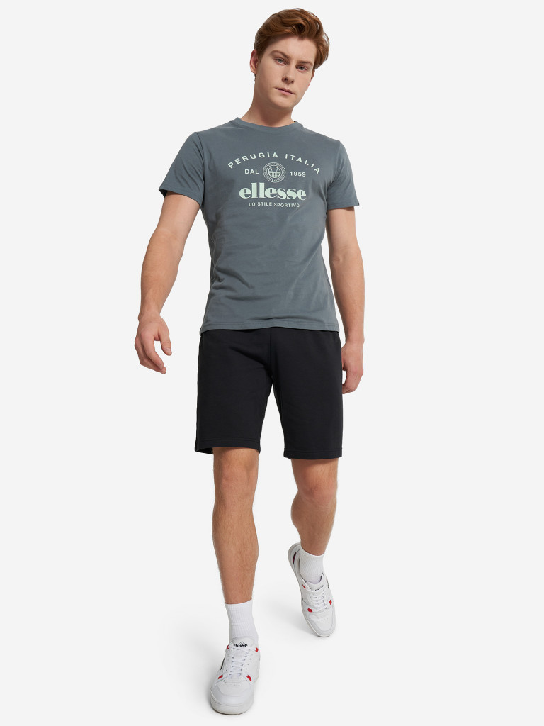 Футболка мужская Ellesse