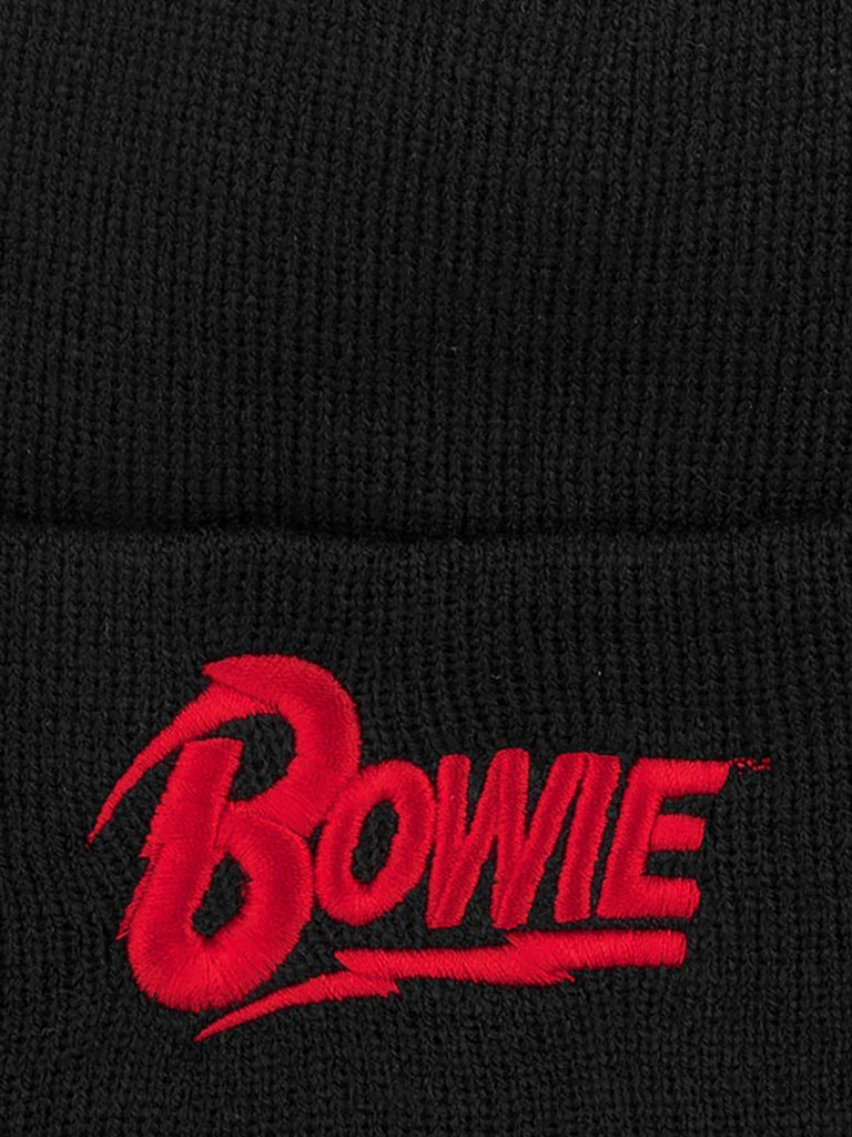 Шапка с отворотом AMERICAN NEEDLE 21019A-BOWI Bowie Cuffed Knit (черный)