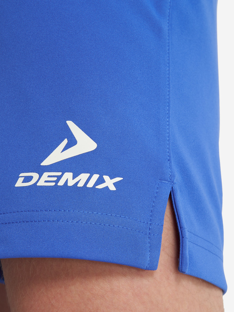 Шорты мужские Demix Legacy